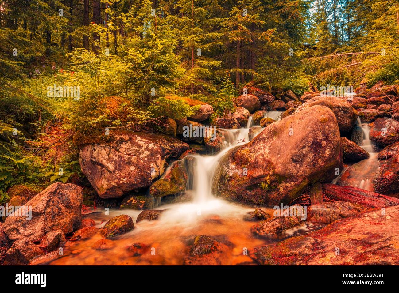 Belle crique de montagne sereine avec écoulement d'eau calme entouré de feuilles d'automne colorées, paysage naturel saisonnier étonnant et paysage tranquille Banque D'Images