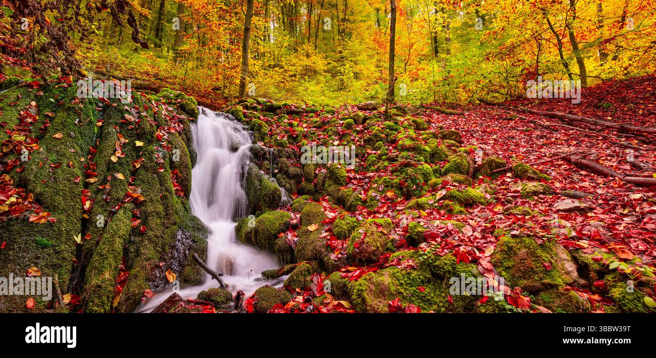 Belle crique de montagne sereine avec écoulement d'eau calme entouré de feuilles d'automne colorées, paysage naturel saisonnier étonnant et paysage tranquille Banque D'Images
