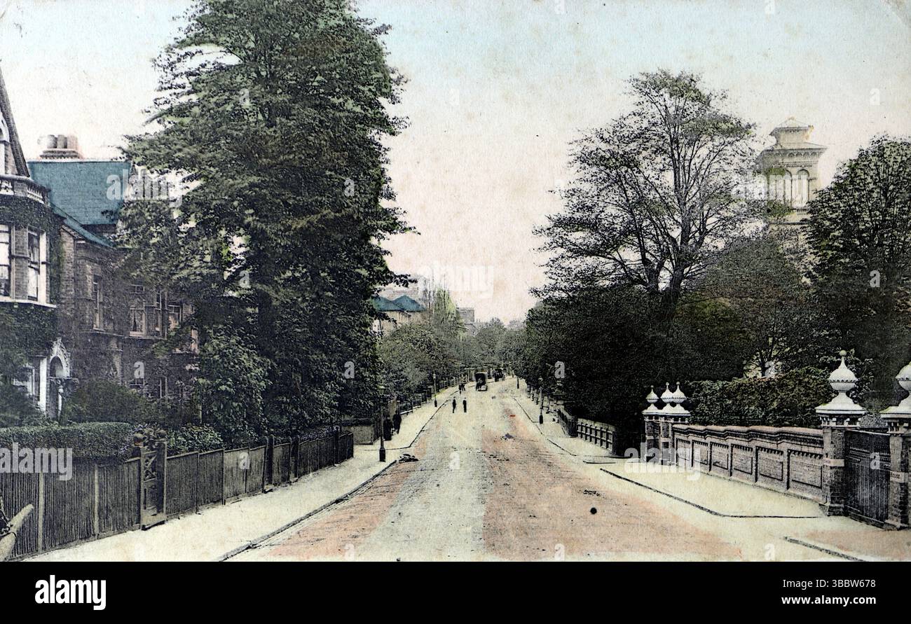 Nightingale Lane à Balham, SW Londres. Une longue voie avec des trottoirs, flanquée d'arbres. Publié vers 1906 par Stengel & Co (ST & Co), une société allemande d'édition de cartes postales qui fut l'un des plus grands producteurs de cartes postales au monde au tournant des XIXe et XXe siècles. D'une collection mixte de cartes postales édouardiennes. Banque D'Images