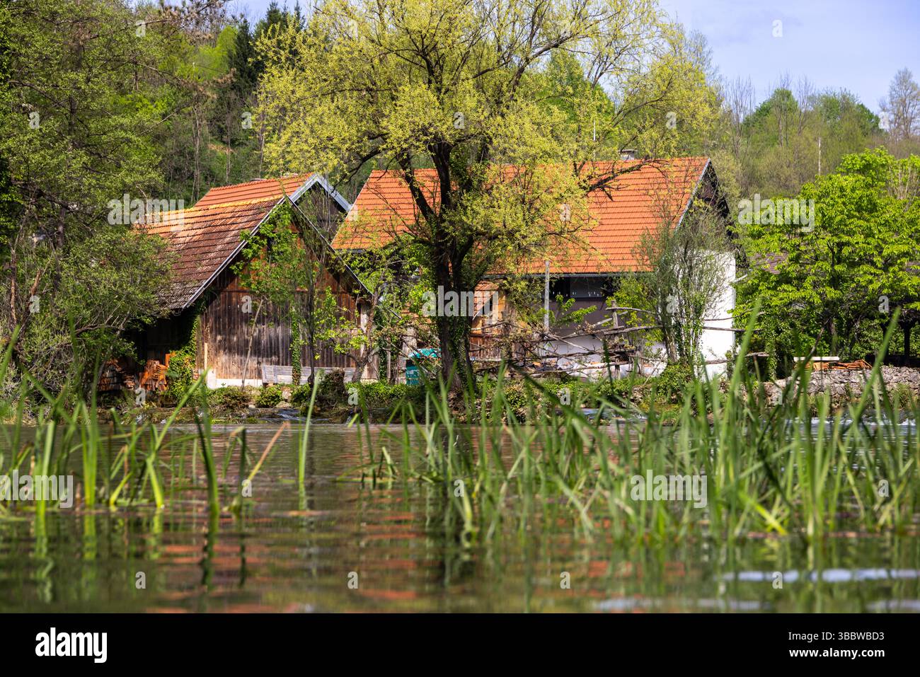 Le village historique de Rastoke dans la ville de Slunj, où la rivière Slunjčica se jette dans la rivière Korana via des cascades et des cascades, Croatie Banque D'Images