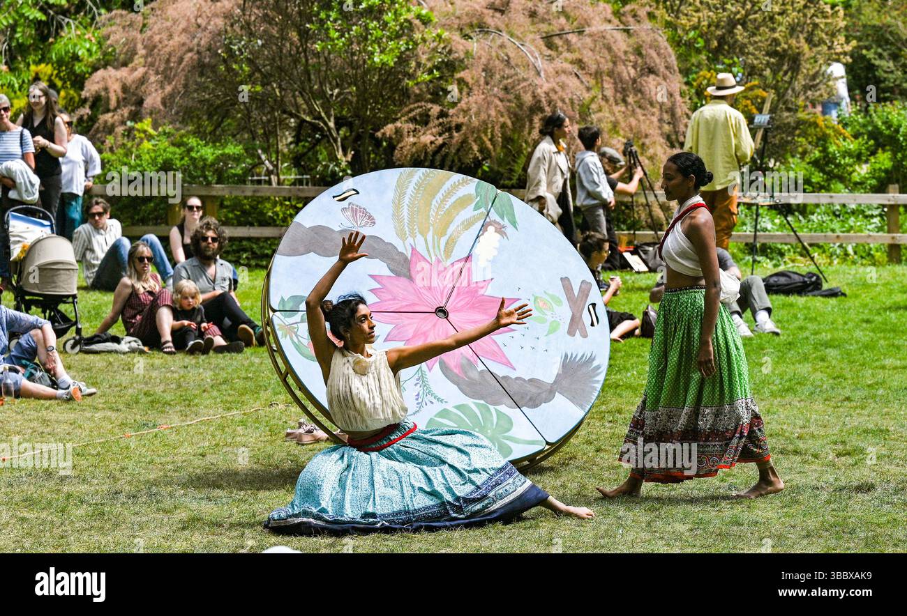 Brighton UK 17 mai 2025 - Roots to Rise Indian Dance performance par la chorégraphe Nandita Shankardass soutenue par Without Walls se produisant au Pavilion Gardens Brighton par un après-midi chaud et ensoleillé .  : Crédit Simon Dack / Alamy Live News Banque D'Images