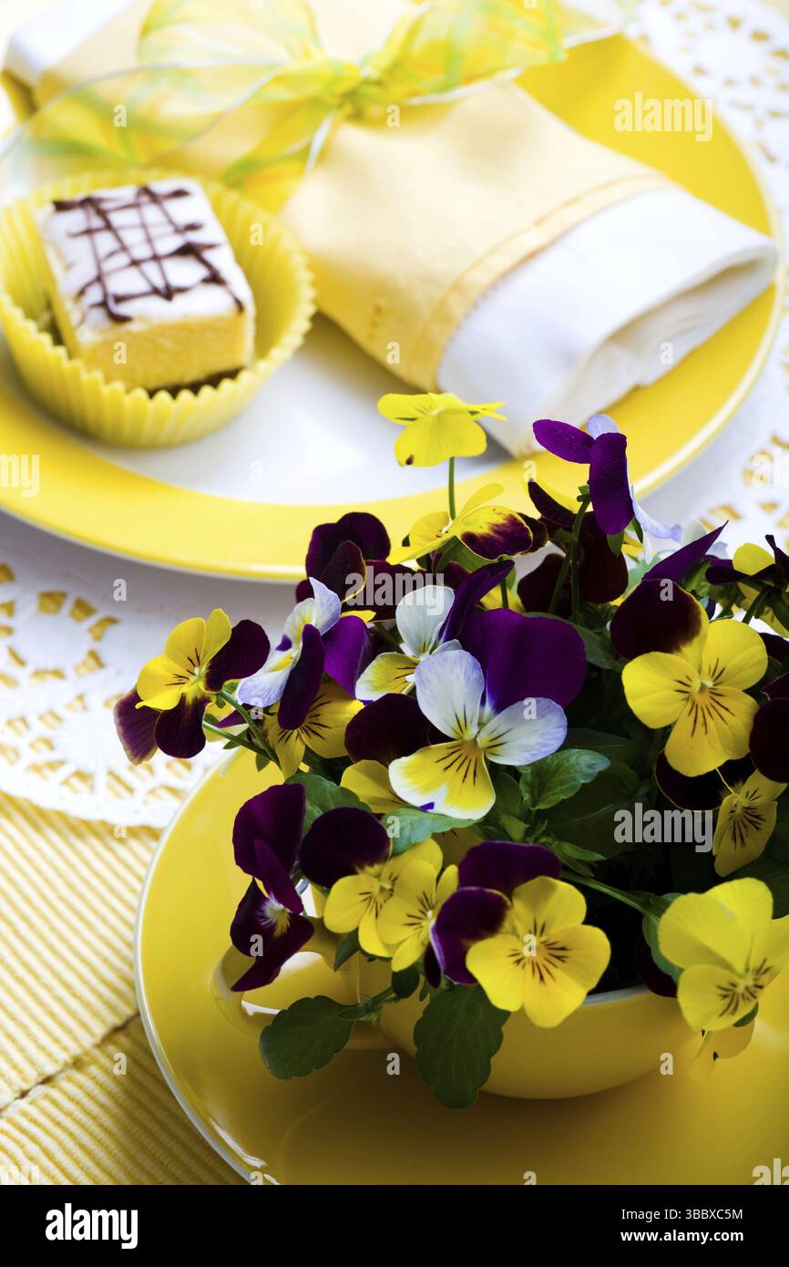 Morceaux de gâteau sur une plaque Banque D'Images