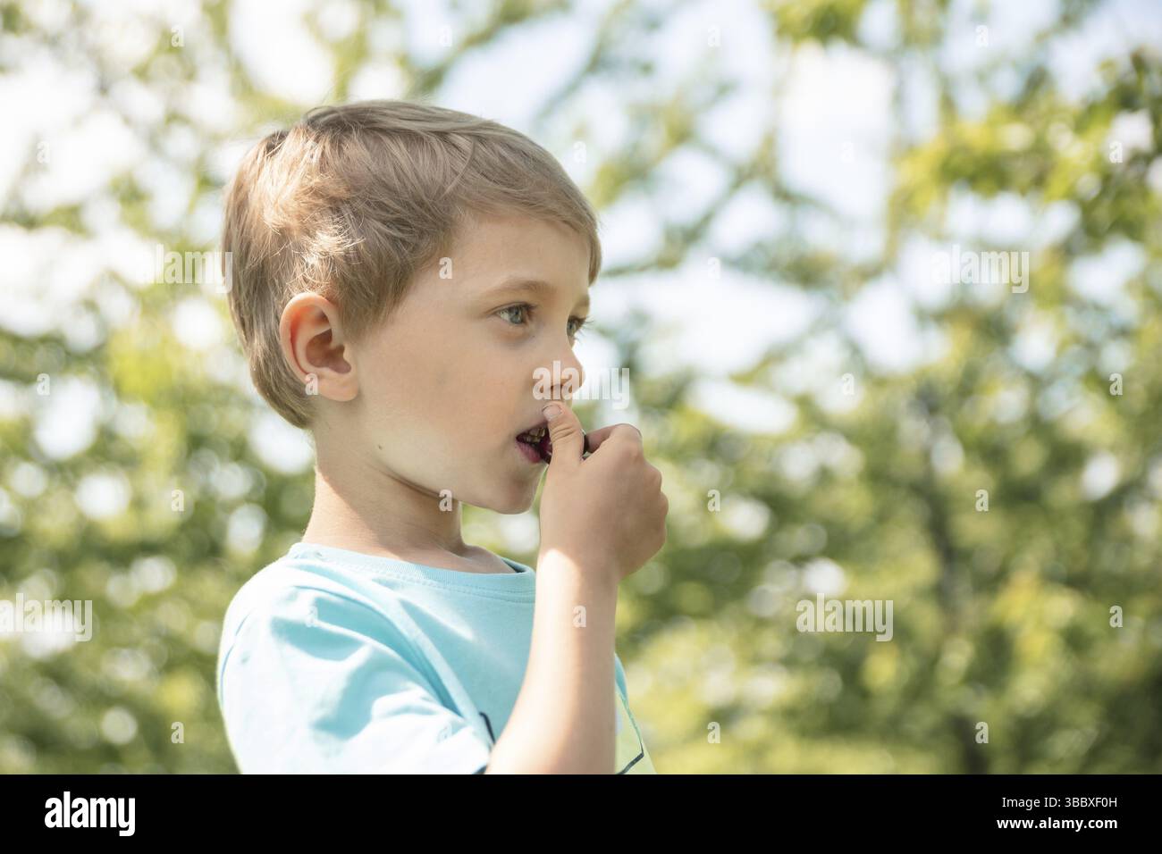 garçon de 5-6 ans qui mange des cerises, verger Banque D'Images