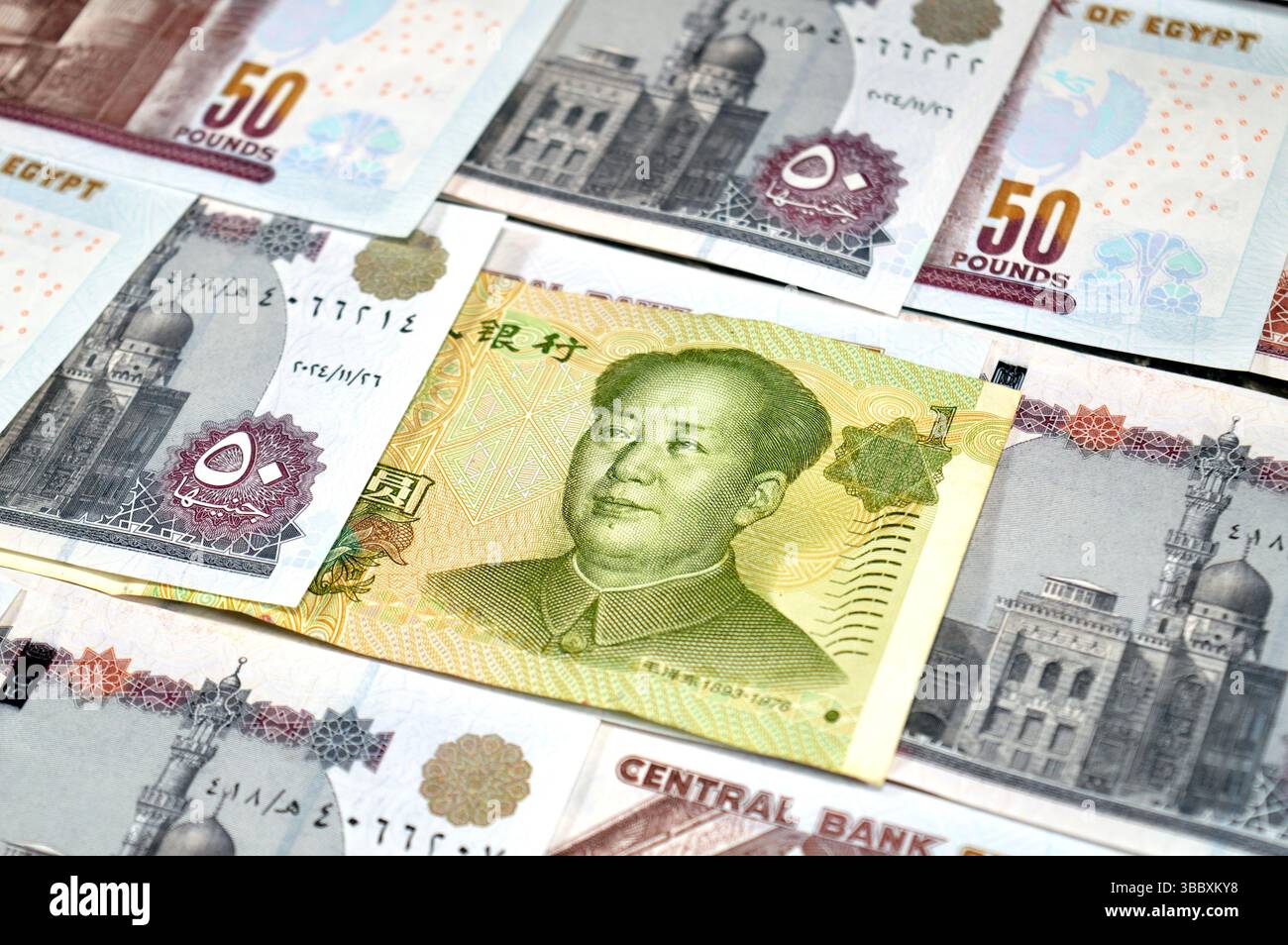 Chinese Yuan Cash Money Bill billet de banque et piles et piles d'argent Egypte des centaines de livres billets de banque billets de 50 EGP LE, argent égyptien exc Banque D'Images