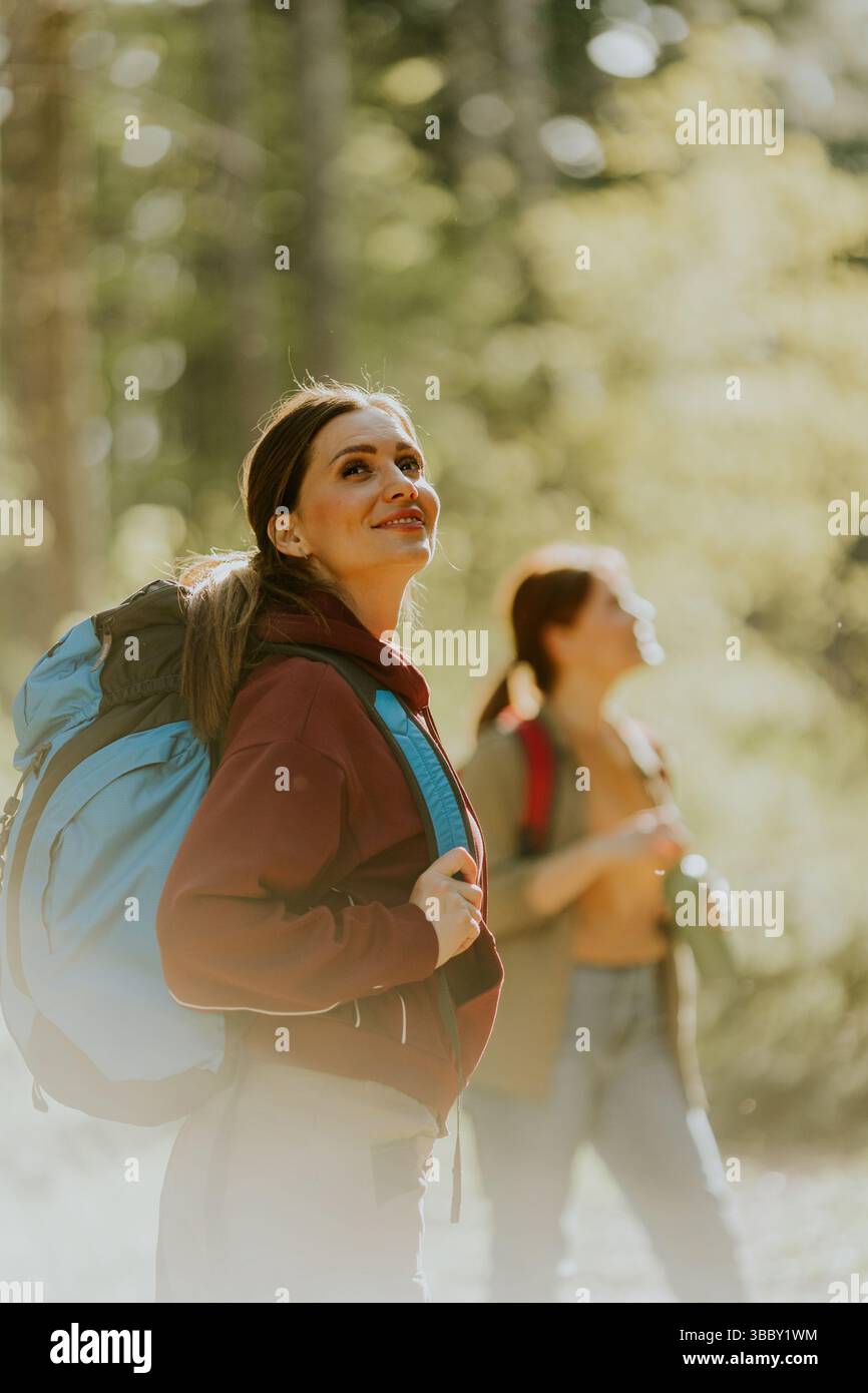 Deux amis profitent d'une aventure de randonnée à travers une forêt vibrante, se prélasser au soleil tout en embrassant la beauté de la nature ensemble. Banque D'Images