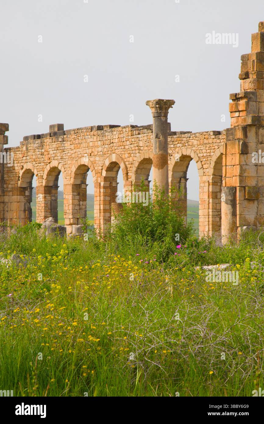 Maroc, Volubilis, ruines romaines historiques, Basilique Banque D'Images
