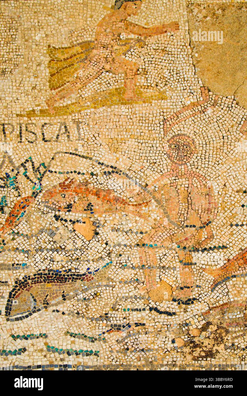 Maroc, Volubilis, ruines romaines historiques, mosaïque Banque D'Images