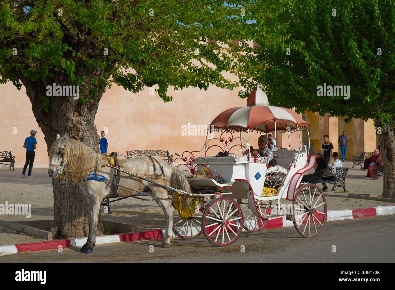 Maroc, Meknès, calèche, Banque D'Images