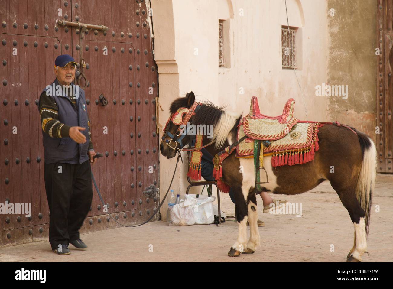 Maroc, Meknès, homme à cheval, scène de rue, Banque D'Images