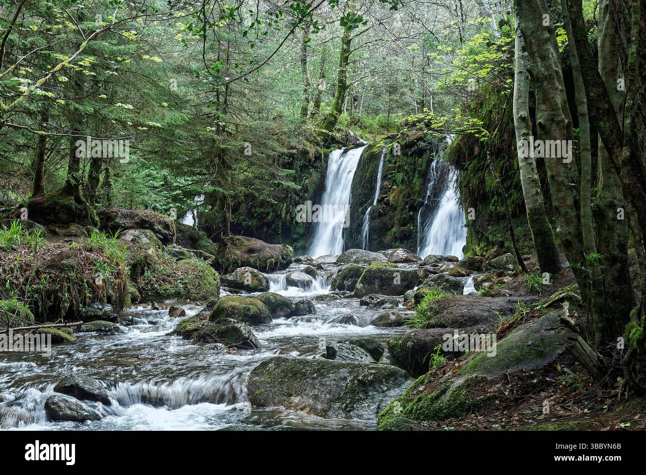 Triple cascade en cascade dans une piscine, coulant sauvage à travers Glenmalure Valley, le paysage montagneux de l'Irlande dans les montagnes de Wicklow. Banque D'Images