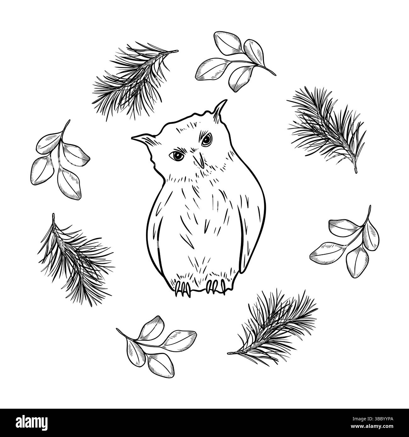 Hibou dans le clipart de cercle avec des branches de pin de plantes boisées et rowan baies noir blanc illustration d'art de ligne. Oiseau de hibou neigeux dessiné à la main, hiver Illustration de Vecteur Hibou dans le clipart de cercle avec des branches de pin de plantes boisées et rowan baies noir blanc illustration d'art de ligne. Oiseau de hibou neigeux dessiné à la main, hiver Illustration de Vecteur
