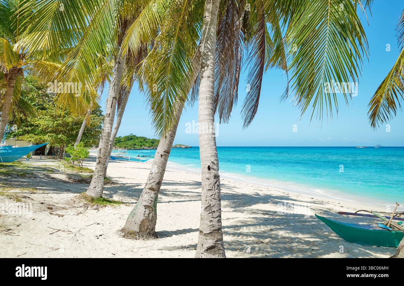 Plage tropicale avec palmiers et mer turquoise, concept de vacances d'été parfait. Banque D'Images