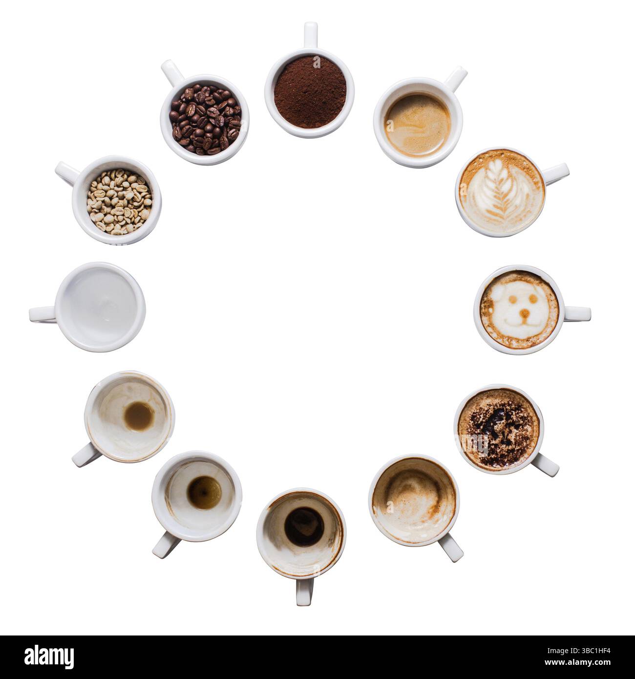 Douze tasses blanches de différentes étapes de préparation du cappuccino. Horloge concept amateur de café isolée sur blanc Banque D'Images
