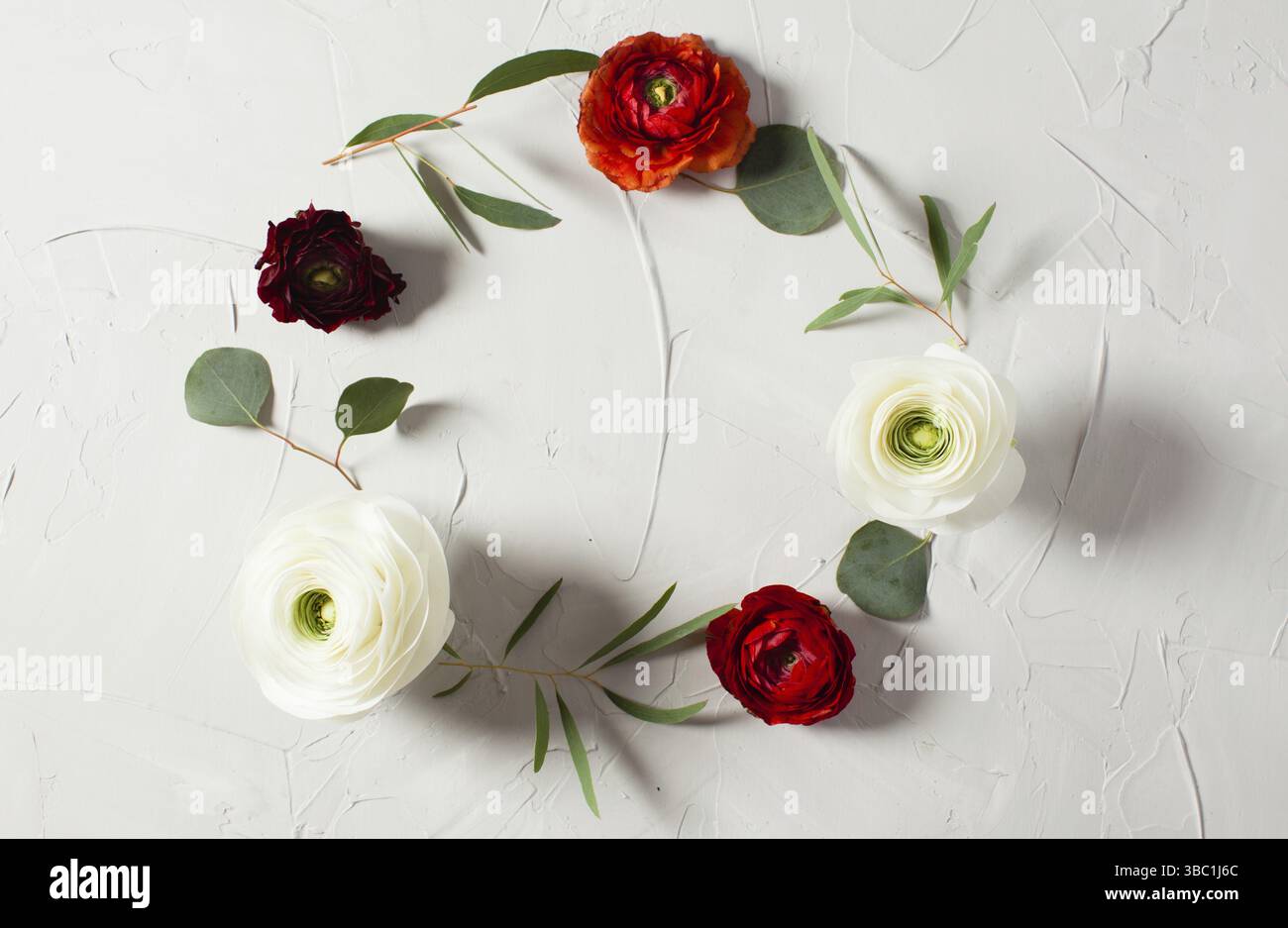 Cadre rond floral avec branches et feuilles d'eucalyptus sur fond de béton gris, pose plate, vue de dessus Banque D'Images