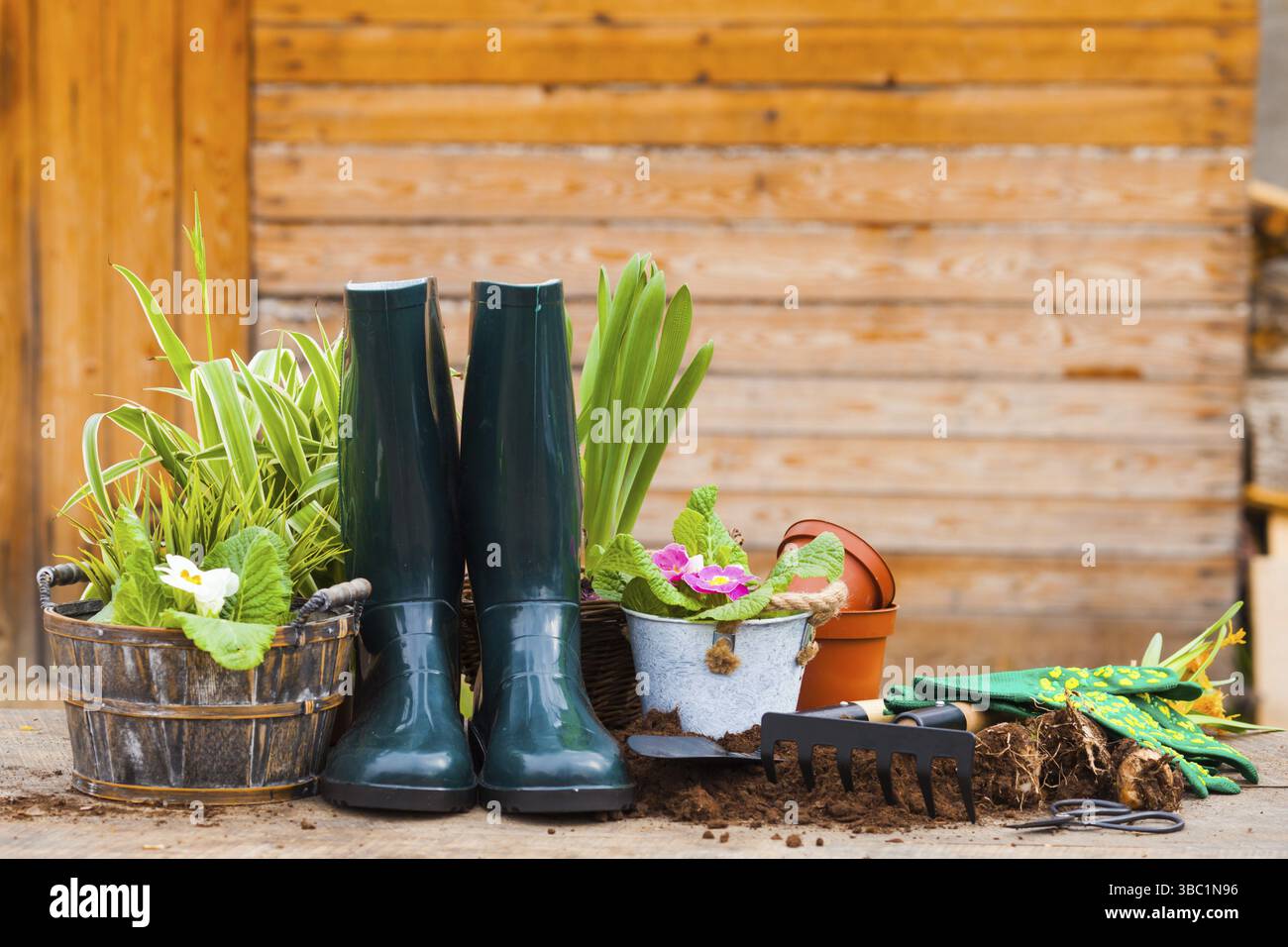 Plantation dans la cour. Jardinage outils et fleurs sur la table en bois à l'extérieur Banque D'Images