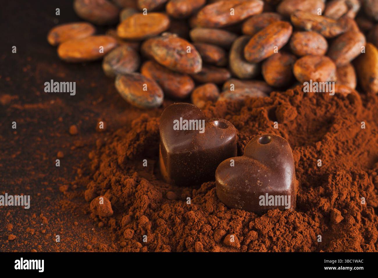 Ingrédients pour bonbons au chocolat. Concept de production de chocolat. Fèves de cacao et poudre de cacao Banque D'Images