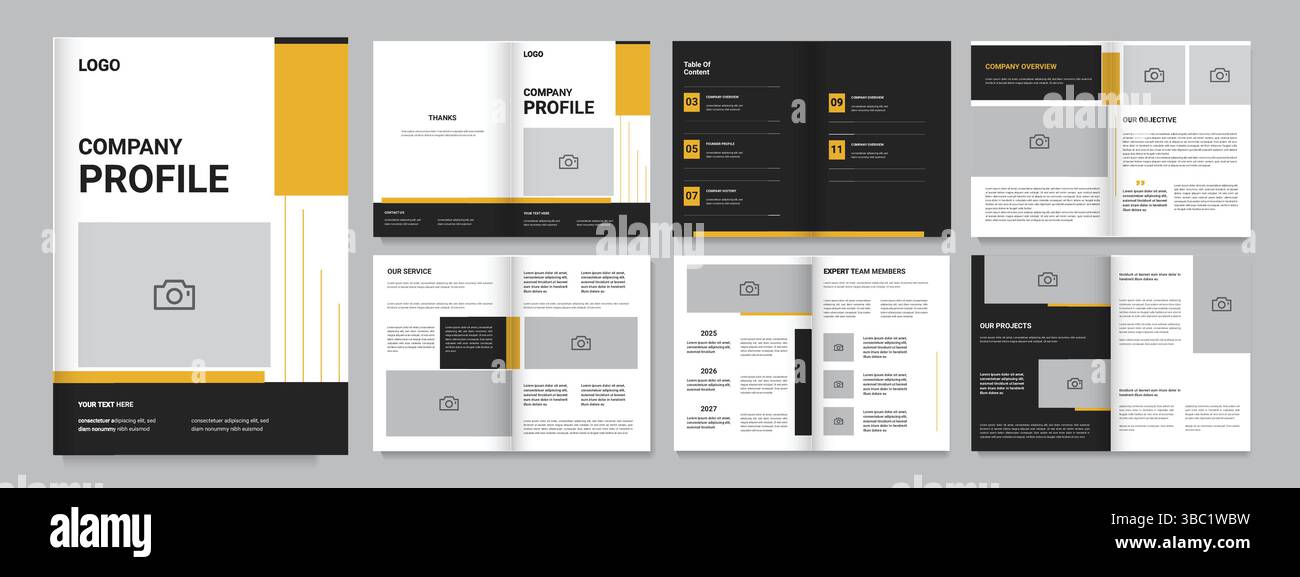 Modèle professionnel de conception de brochure de profil d'entreprise, mise en page de modèle d'impression Illustration de Vecteur