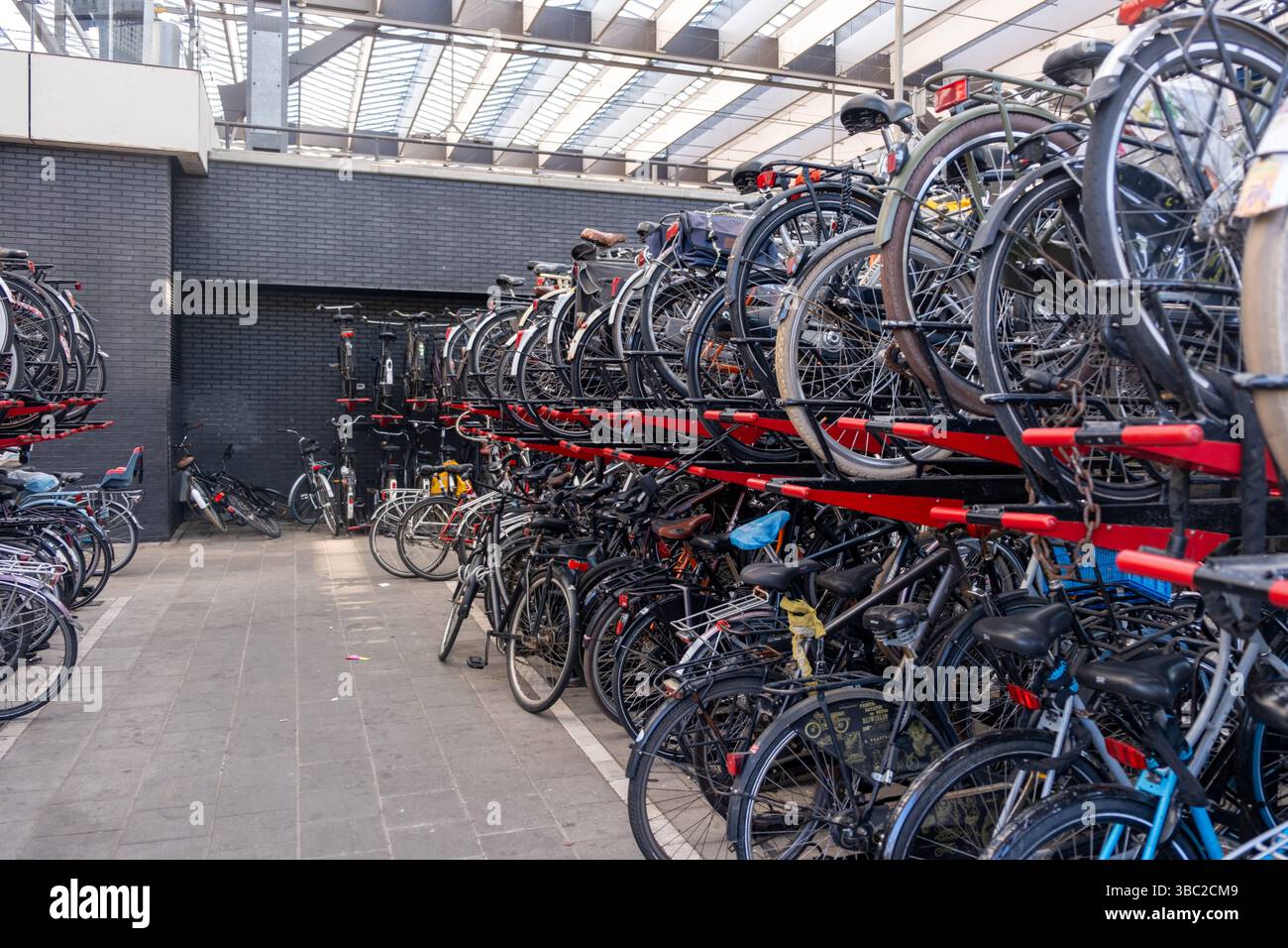 Rotterdam pays-Bas. 10 mai 2025. Parking vélos, vélos garés sur des supports à la gare Centraal Banque D'Images