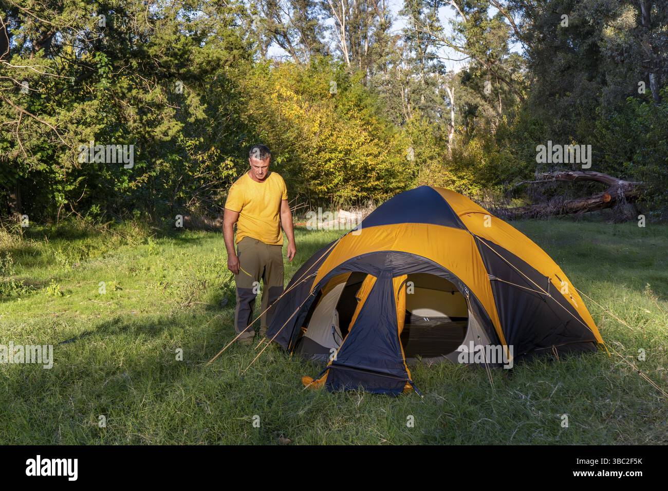 Aventurier installant une tente dans une forêt sereine Banque D'Images