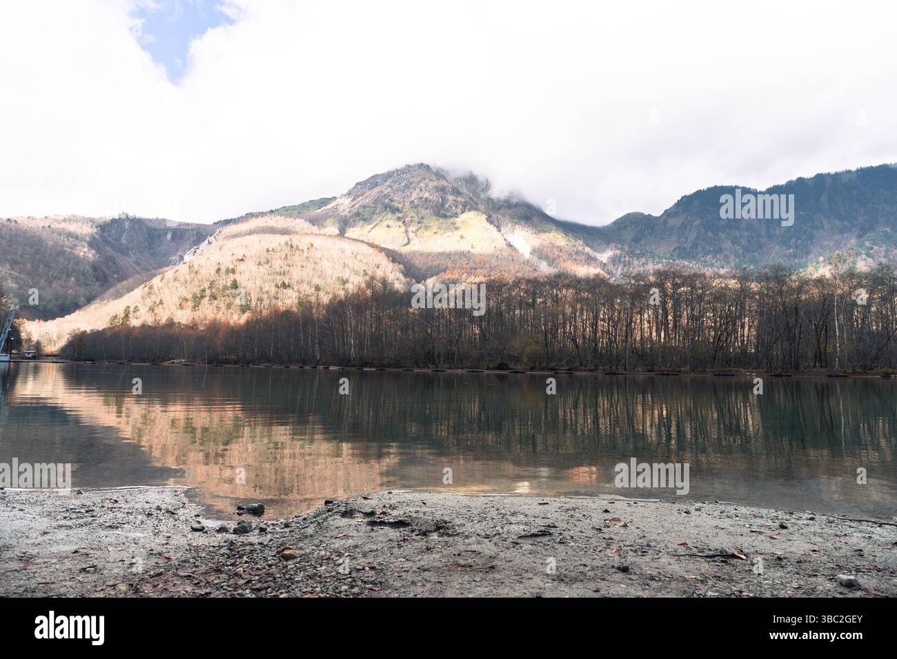 Claire eau de la rivière Azusa et pins dans le parc national de Kamikochi en saison d'automne Banque D'Images