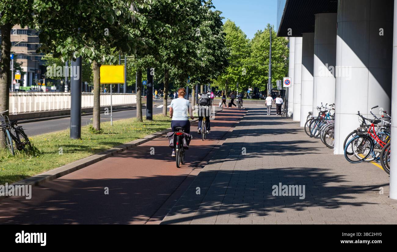 Vélo au centre-ville, les gens faisant du vélo sur la piste cyclable, vue arrière. Pays-Bas Hollande Banque D'Images