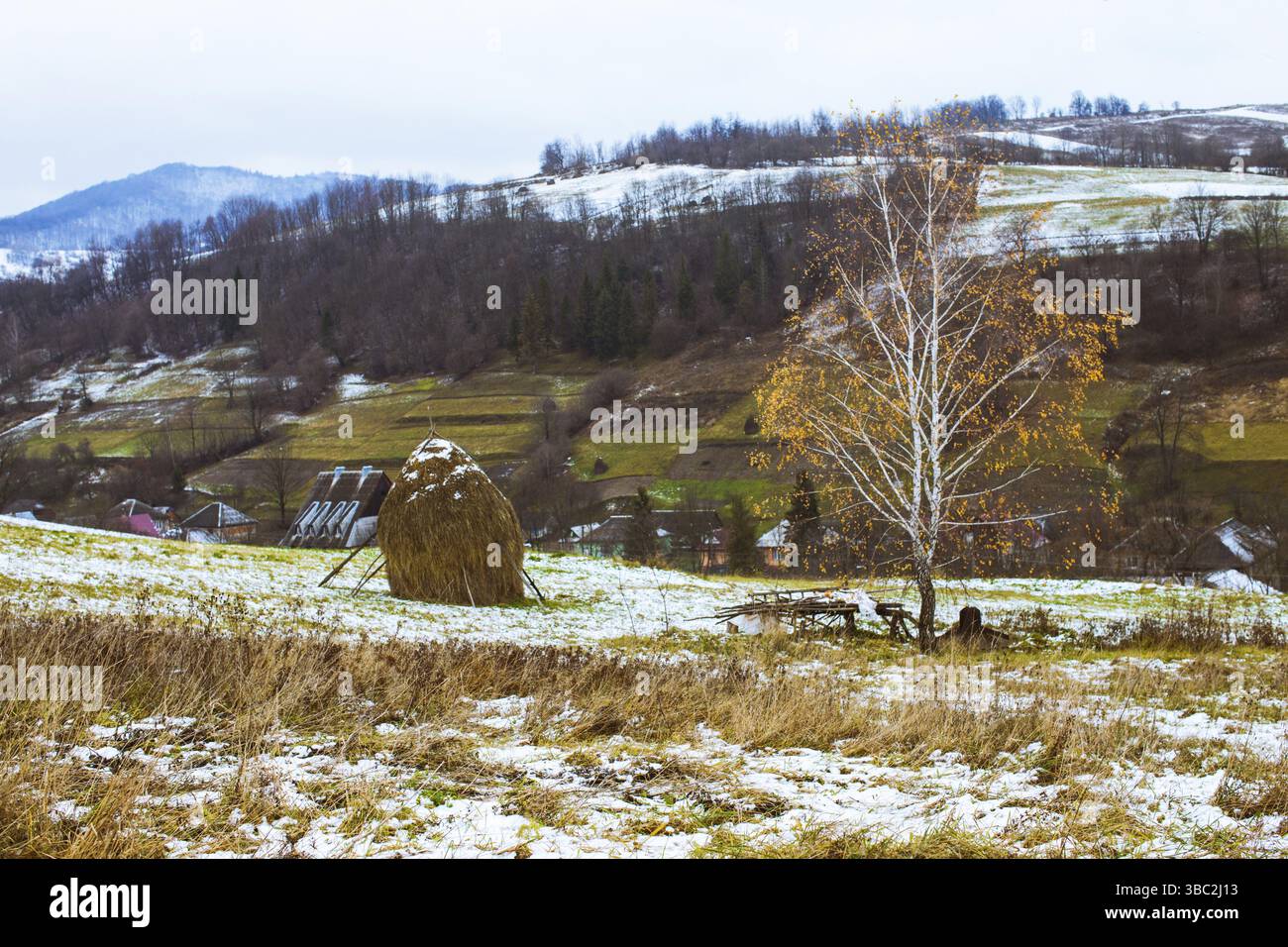 L'automne et l'hiver se rencontrent sur les champs. Paysage pastoral Banque D'Images