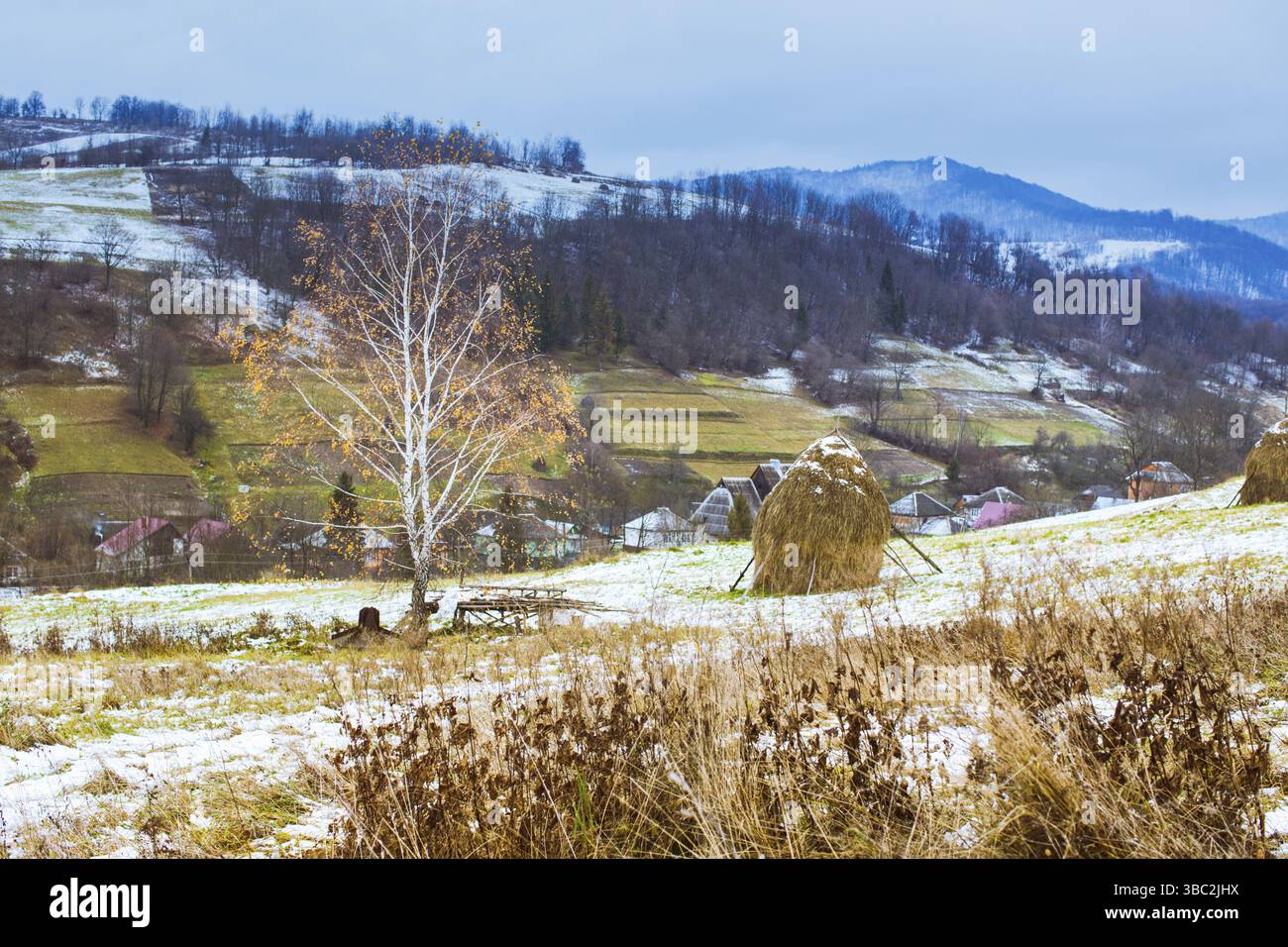 L'automne et l'hiver se rencontrent sur les champs. Paysage pastoral Banque D'Images