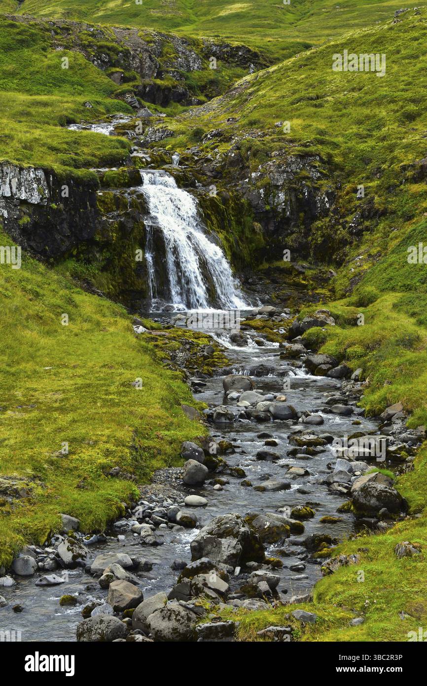 Petite cascade descendant une colline rocheuse entourée d'herbe verte. Islande Banque D'Images