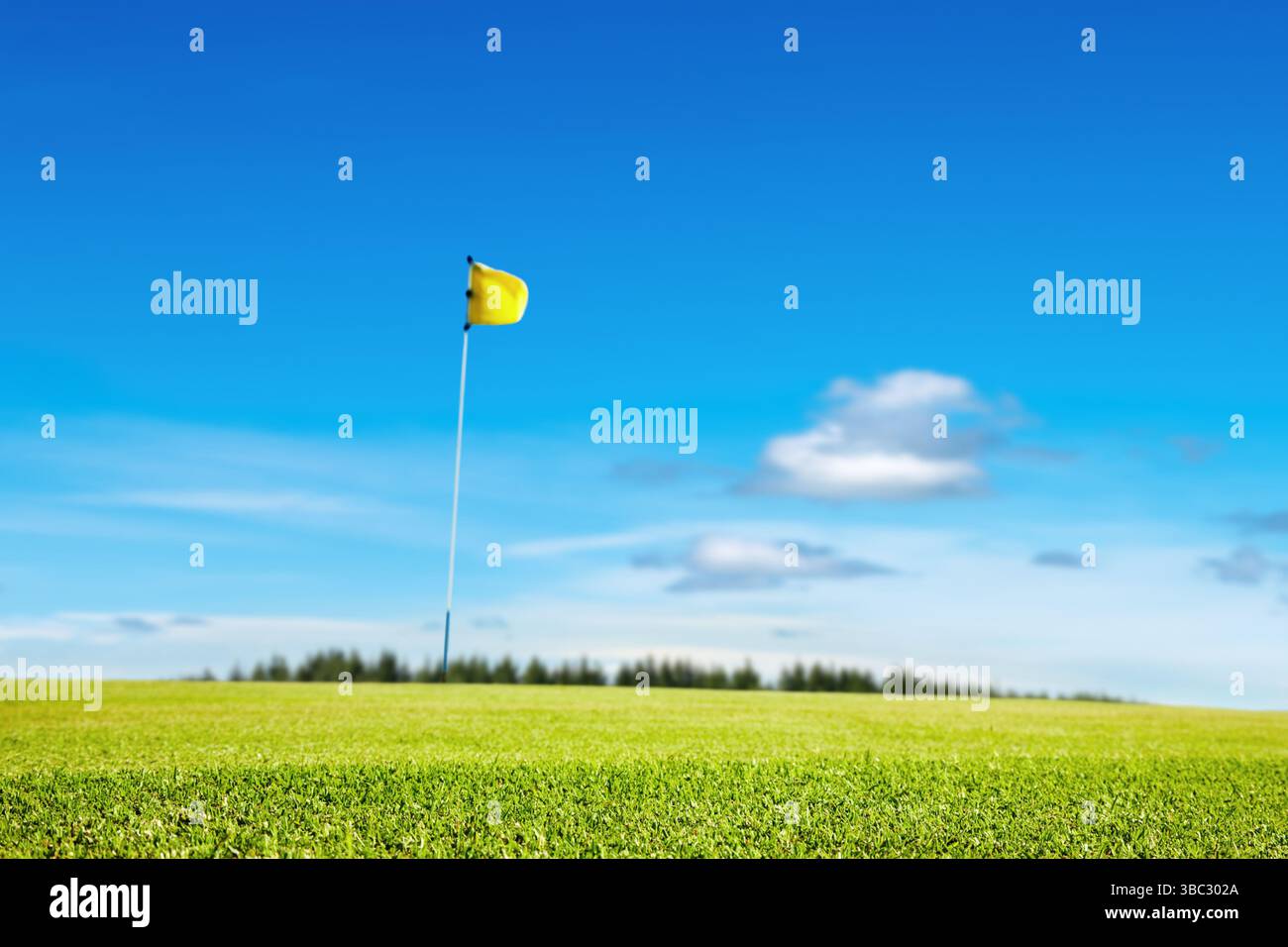 Terrain de Golf, se concentrer sur l'herbe, faible profondeur de champ Banque D'Images