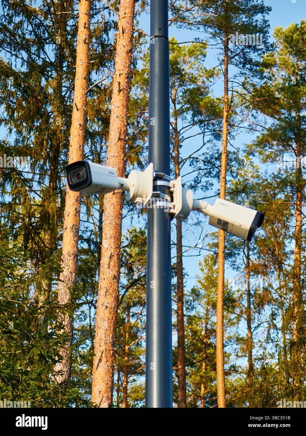 Plusieurs caméras de surveillance montées sur un poteau dans une zone forestière Banque D'Images