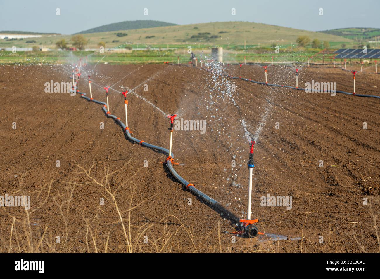 Arrosage automatique du système d'arrosage dans la ferme végétale. Mise au point sélective et flou de mouvement Banque D'Images