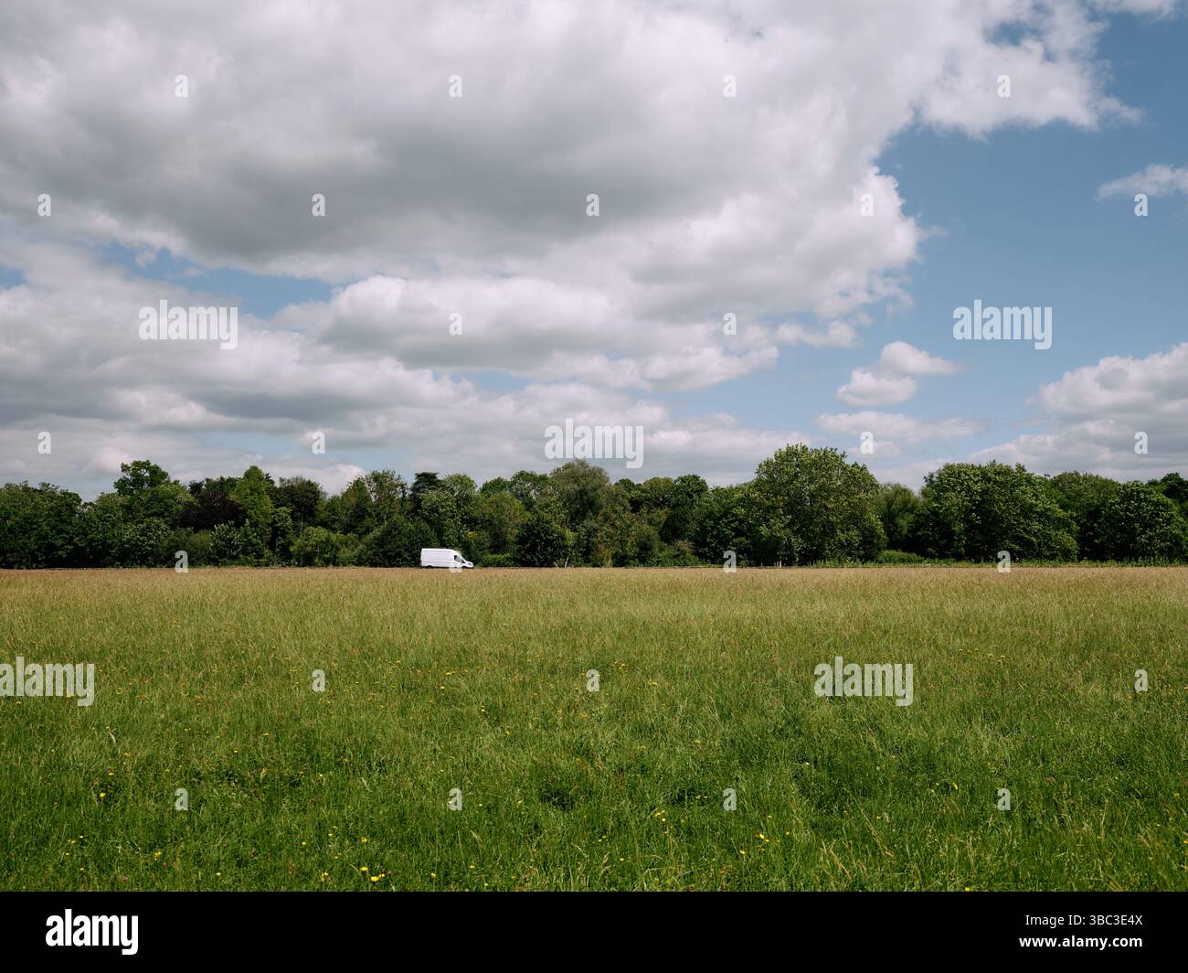 White Van Man - Un van de livraison blanc solitaire derrière un paysage de champ de prairie d'herbe Angleterre Royaume-Uni - Grande-Bretagne anglaise britannique Banque D'Images