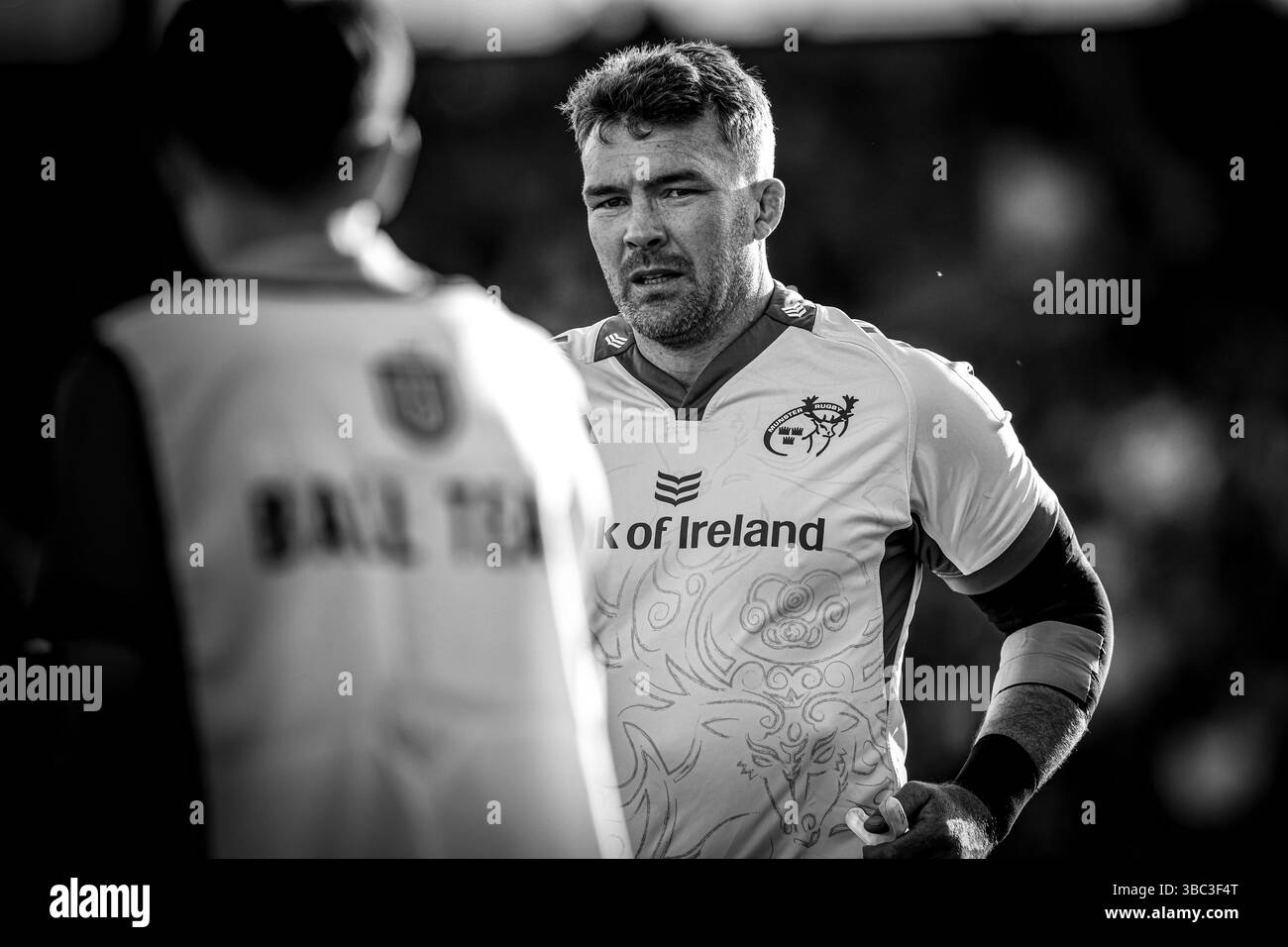 16 mai 2025, Virgin Media Park, Cork, Irlande - United Rugby Championship : Munster Rugby 30 - Benetton Rugby 21 ; Peter O'Mahony de Munster Rugby Banque D'Images