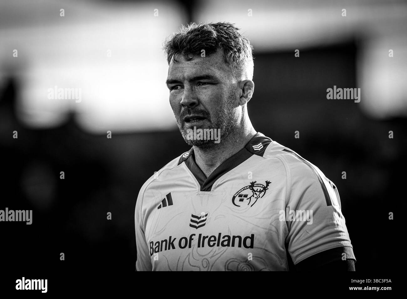 16 mai 2025, Virgin Media Park, Cork, Irlande - United Rugby Championship : Munster Rugby 30 - Benetton Rugby 21 ; Peter O'Mahony de Munster Rugby Banque D'Images