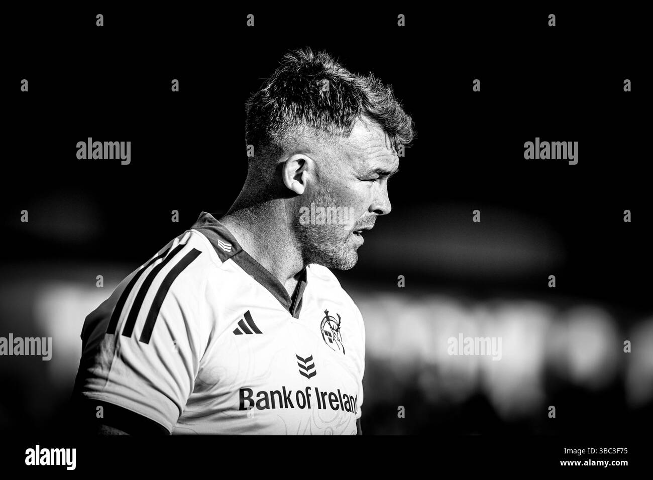 16 mai 2025, Virgin Media Park, Cork, Irlande - United Rugby Championship : Munster Rugby 30 - Benetton Rugby 21 ; Peter O'Mahony de Munster Rugby Banque D'Images