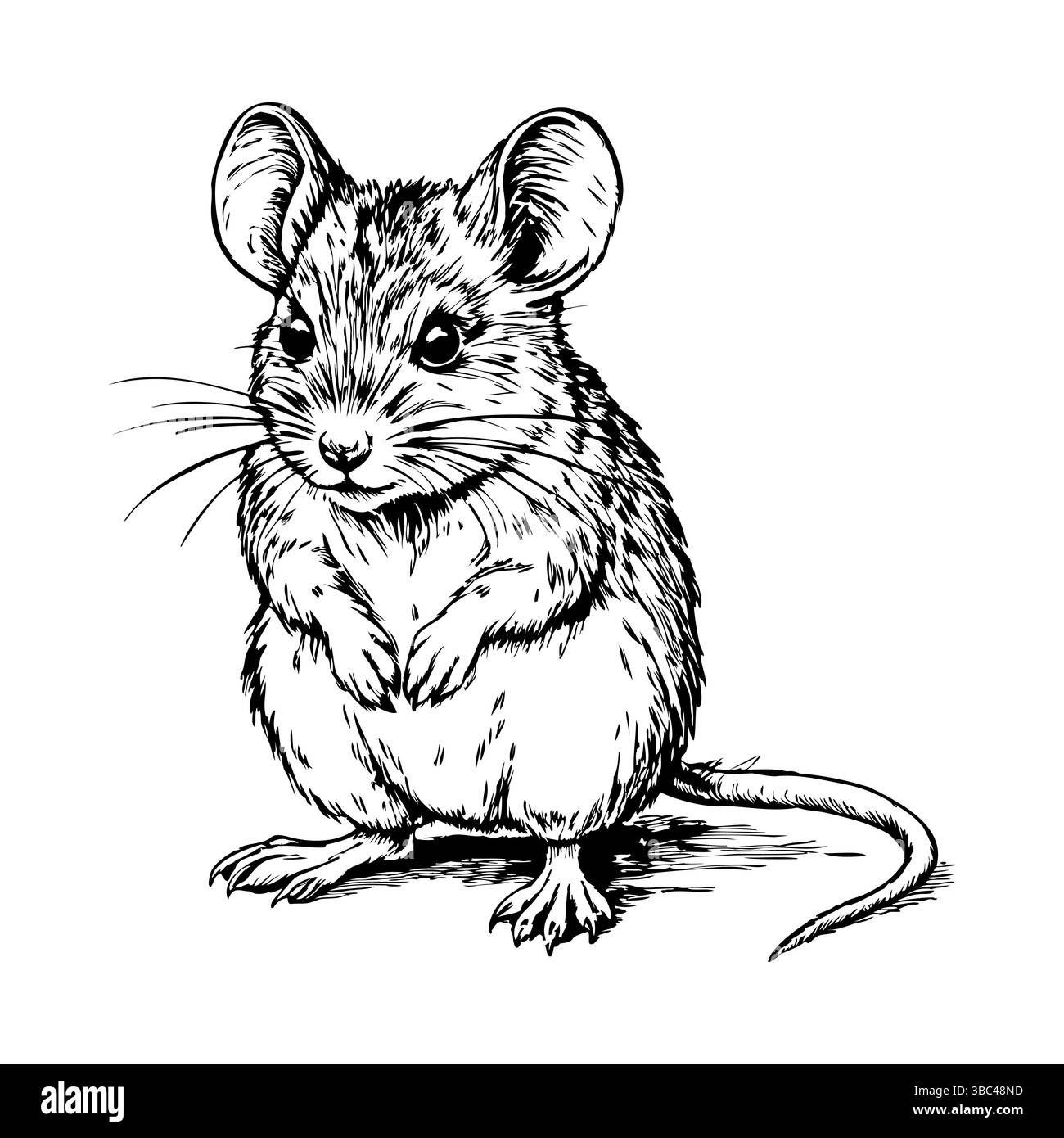 Souris debout avec expression d'alerte dans le dessin à l'encre Illustration de Vecteur