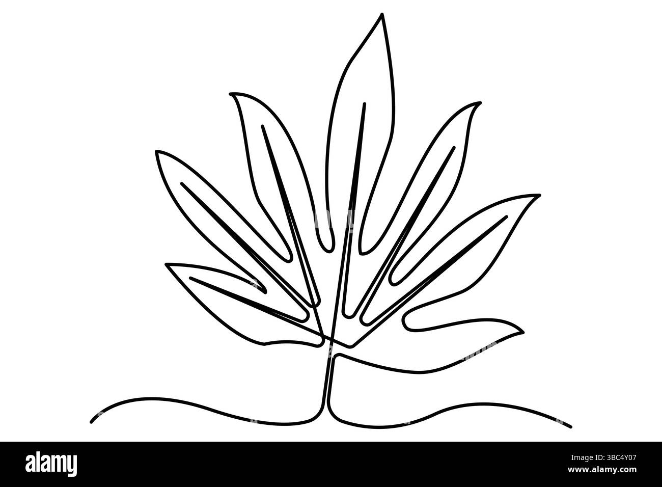 Dessiné à la main une ligne monstera illustration de plante d'intérieur dessin de contour de plante Illustration de Vecteur