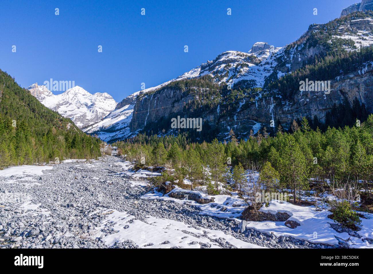 Conifères dans la rivière Öschibach, qui va de l'Oeschinensee à Kandersteg. Vues de Fründschnuer & Öschiwald, Oberland bernois, Suisse Banque D'Images