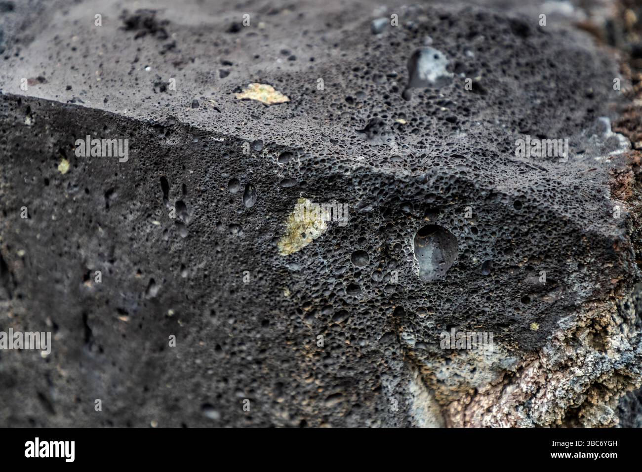 Gros plan d'une roche volcanique à Mancha Blanca sur Lanzarote. La structure poreuse de la roche de lave noire est clairement visible, avec des inclusions d’olivine verte. La formation de cette roche est due au refroidissement et au dépôt de magma. Mancha Blanca, Îles Canaries, Espagne Banque D'Images
