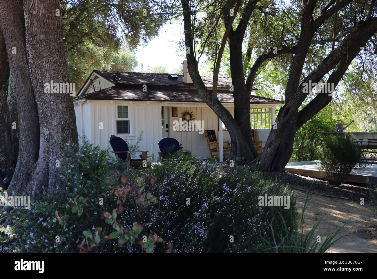 Charmant cottage blanc entouré d'arbres dans un cadre rural, Paso Robles, CA. Banque D'Images