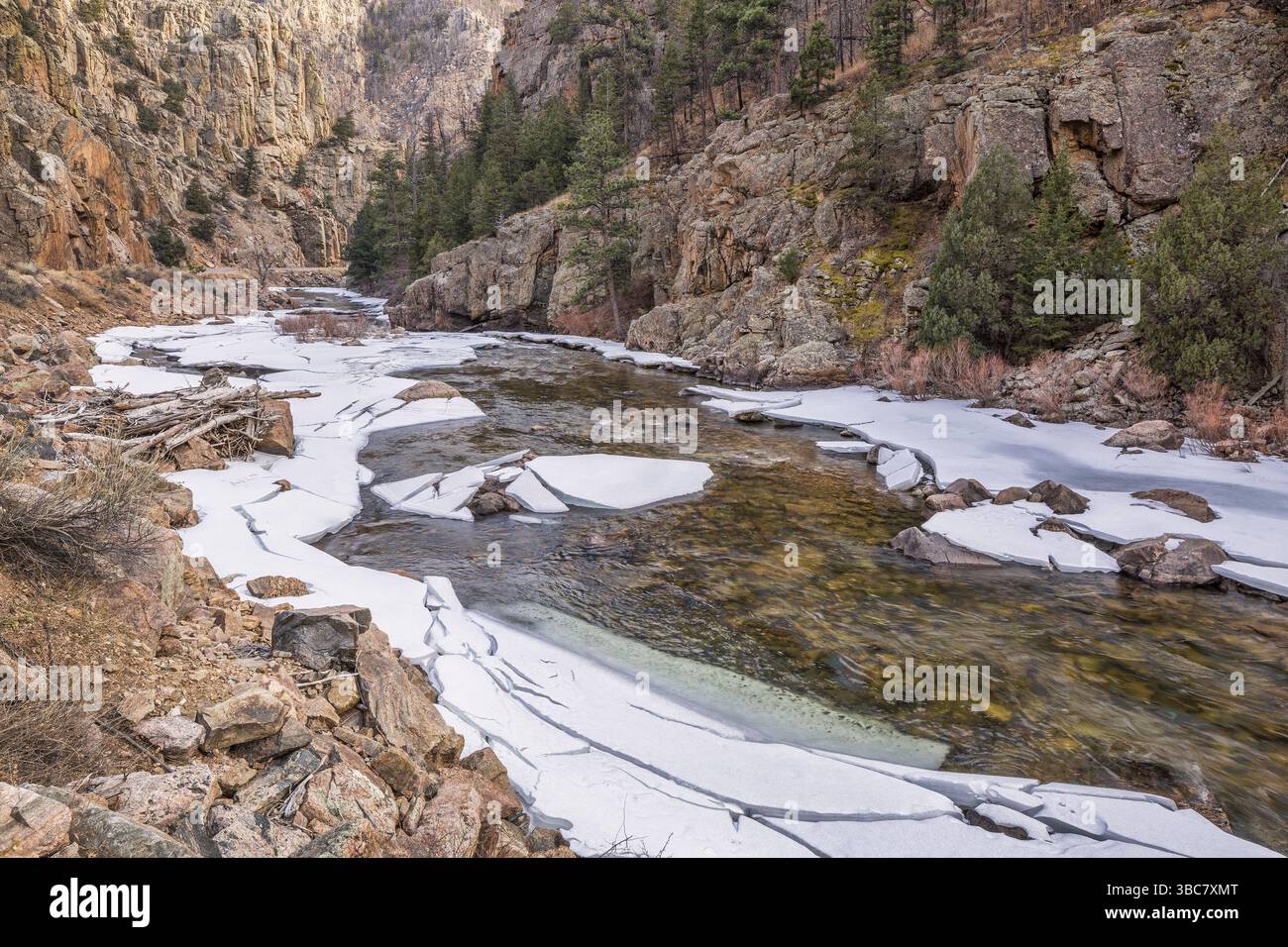 Rivière cache la poudre à Big Narrows à l'ouest de Fort Collins dans le nord du Colorado - paysage hivernal avec une rivière partiellement gelée Banque D'Images