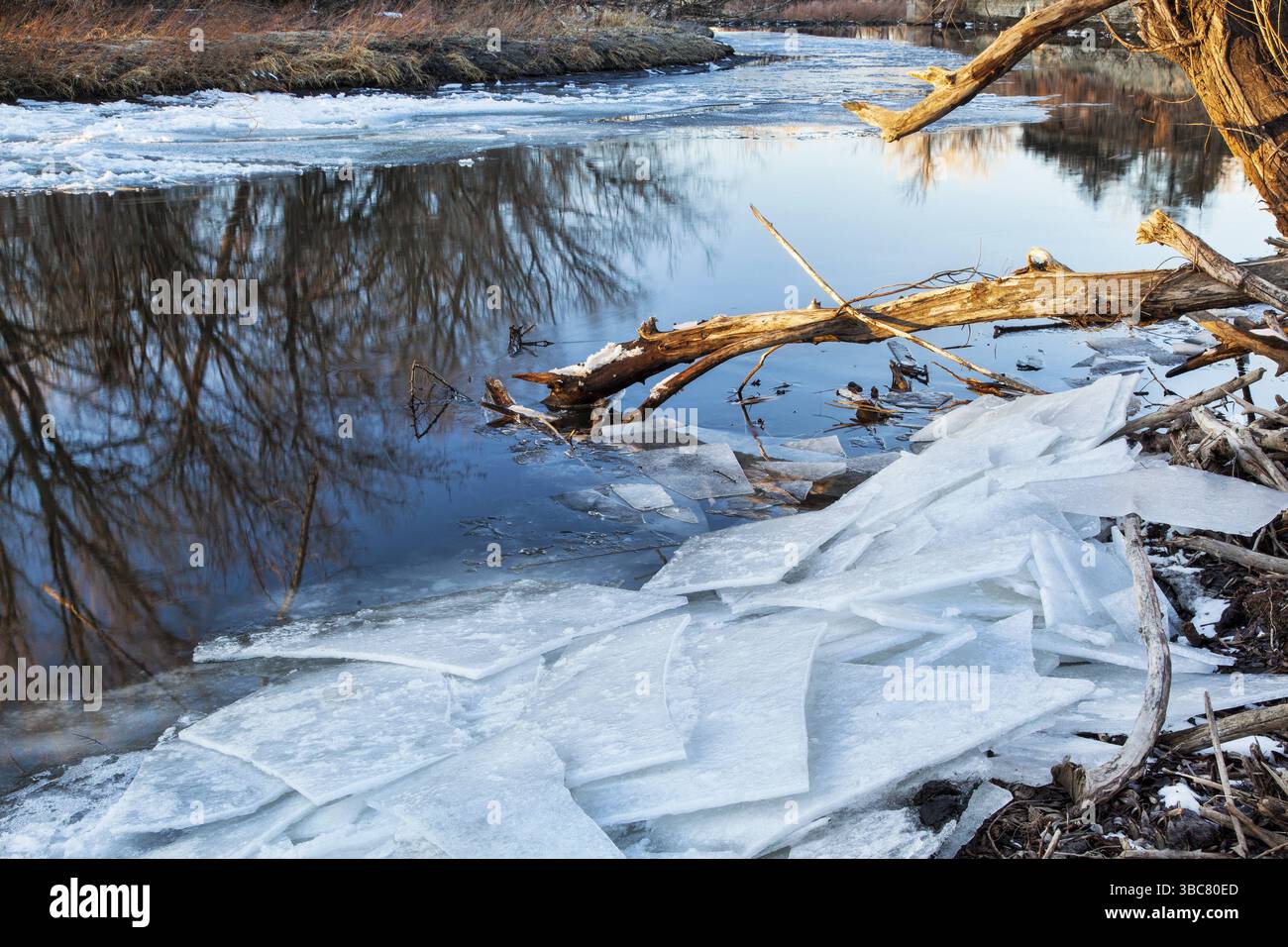 La Poudre Cache River à Fort Collins, Colorado, l'hiver ou au début du printemps paysage avec rives glacées Banque D'Images