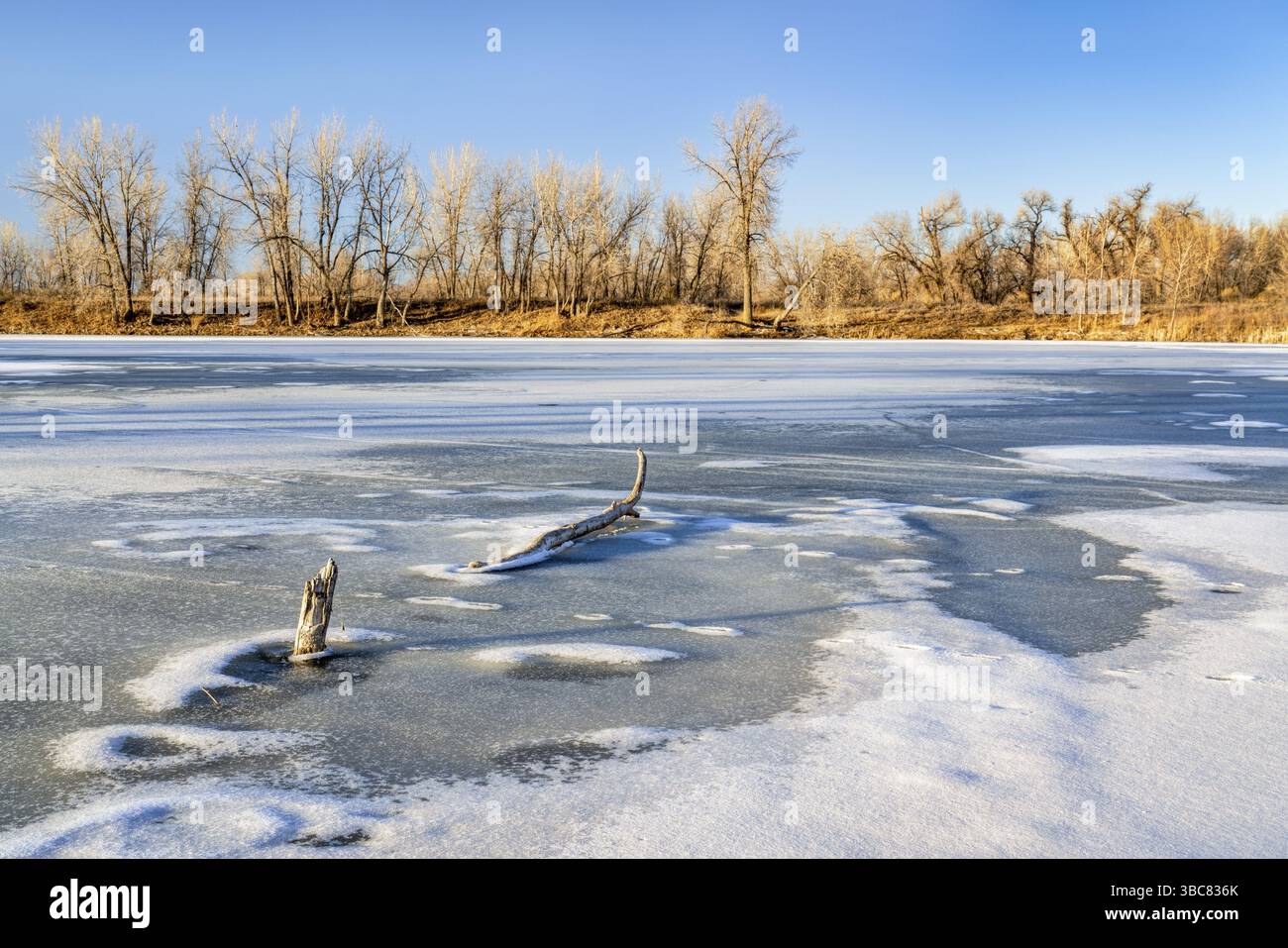 Lac gelé dans le nord du Colorado, une des zones naturelles de Fort Collins Banque D'Images