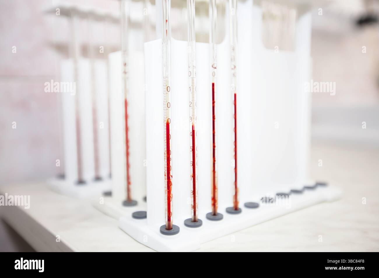 Tubes à essai avec sang dans un laboratoire de biochimie médicale Banque D'Images