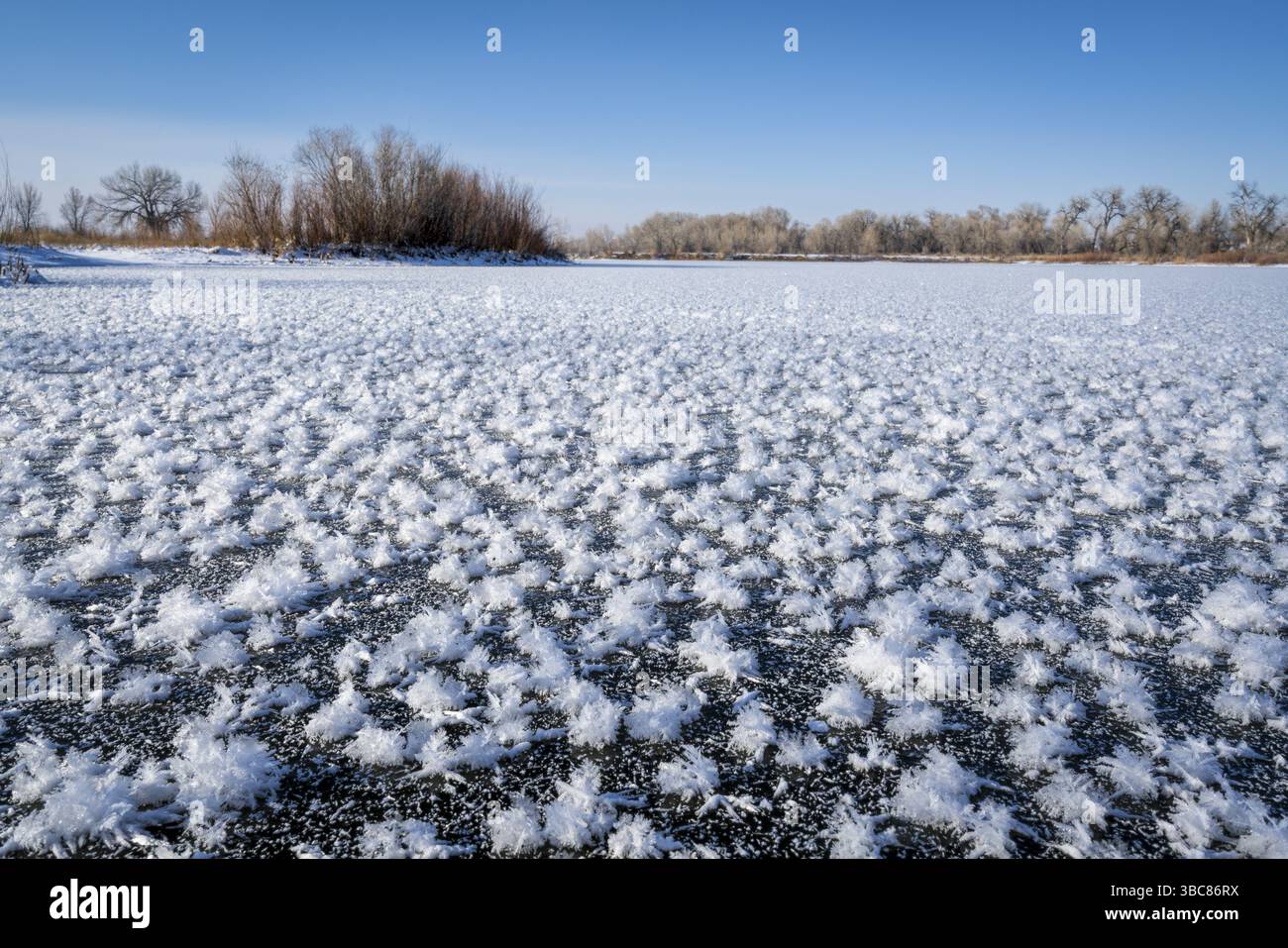 Cristaux de glace sur un lac gelé dans le nord du Colorado Banque D'Images