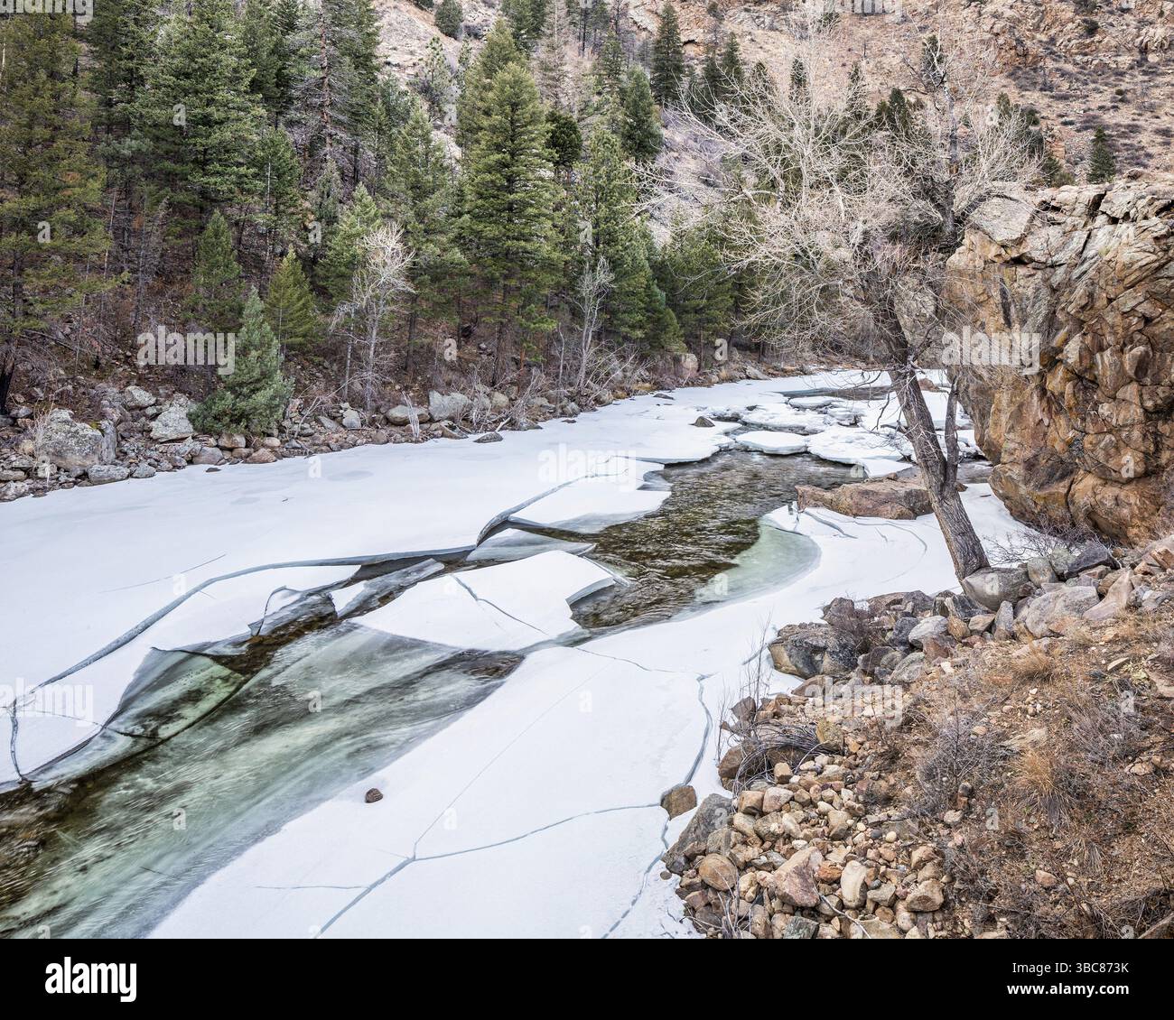 Rivière cache la poudre à Big Narrows à l'ouest de Fort Collins dans le nord du Colorado - paysage hivernal avec une rivière partiellement gelée Banque D'Images