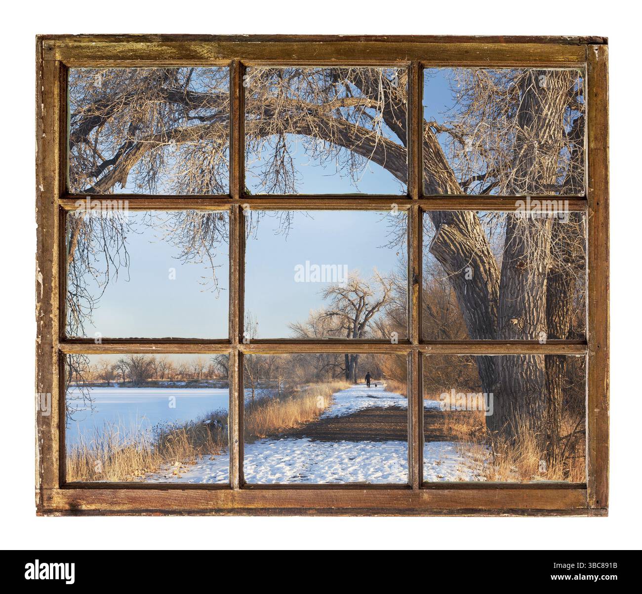 Scène de parc d'hiver avec un sentier, des lacs gelés et de vieux arbres de coton comme vu d'une fenêtre à guillotine de l'ancienne cabane Banque D'Images