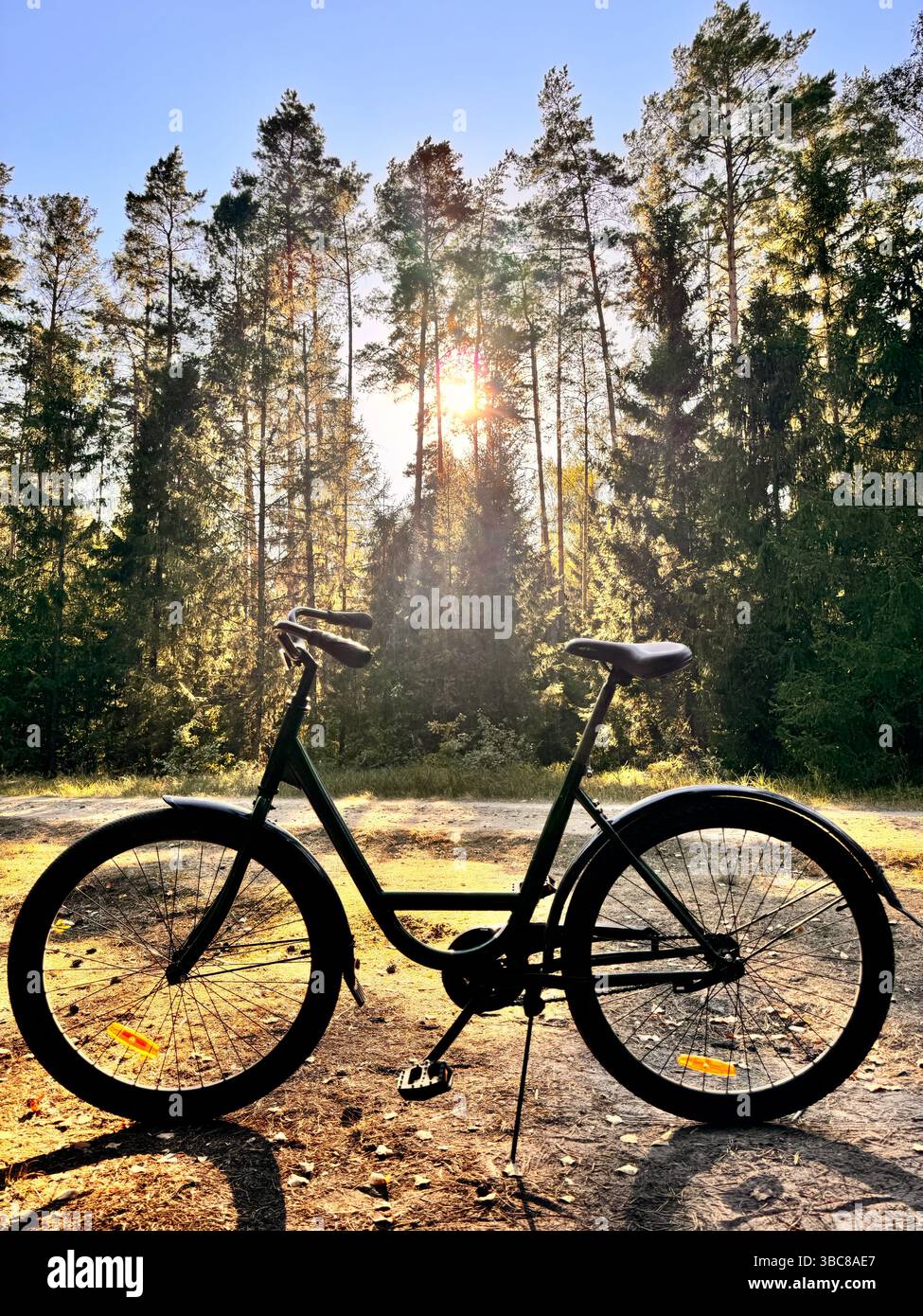 Une configuration d'apiculture complexe dans un verger en fleurs, style agricole minimaliste - Image de stock capturée avec un smartphone