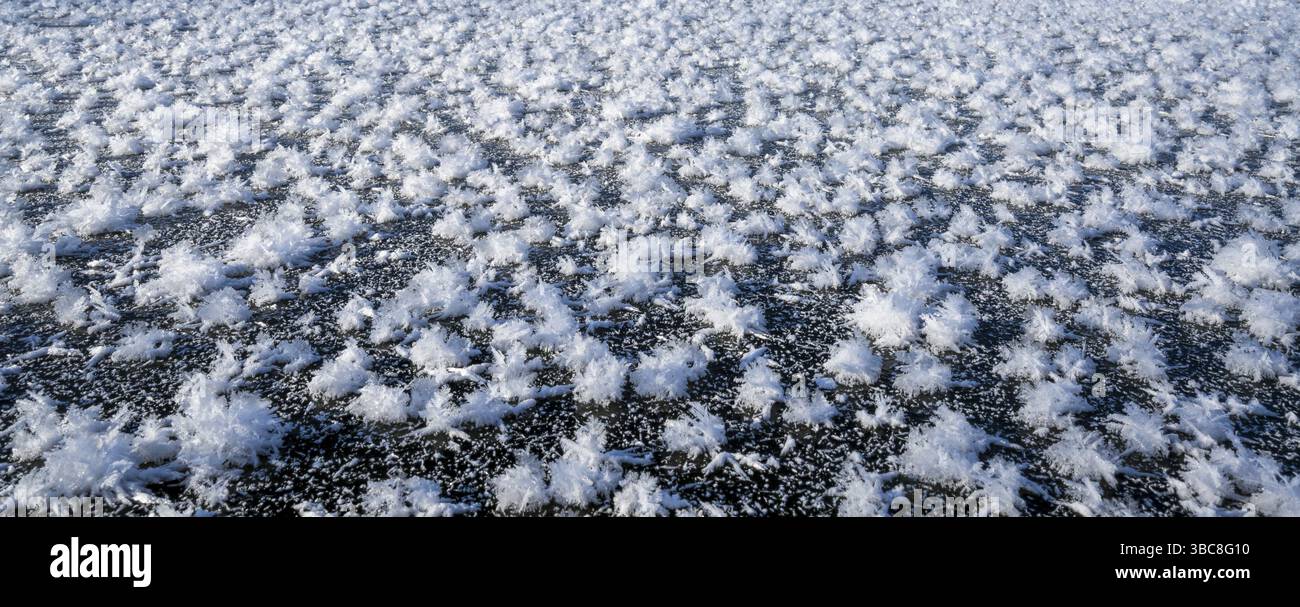 Panorama de cristaux de glace sur un lac gelé dans le nord du Colorado Banque D'Images