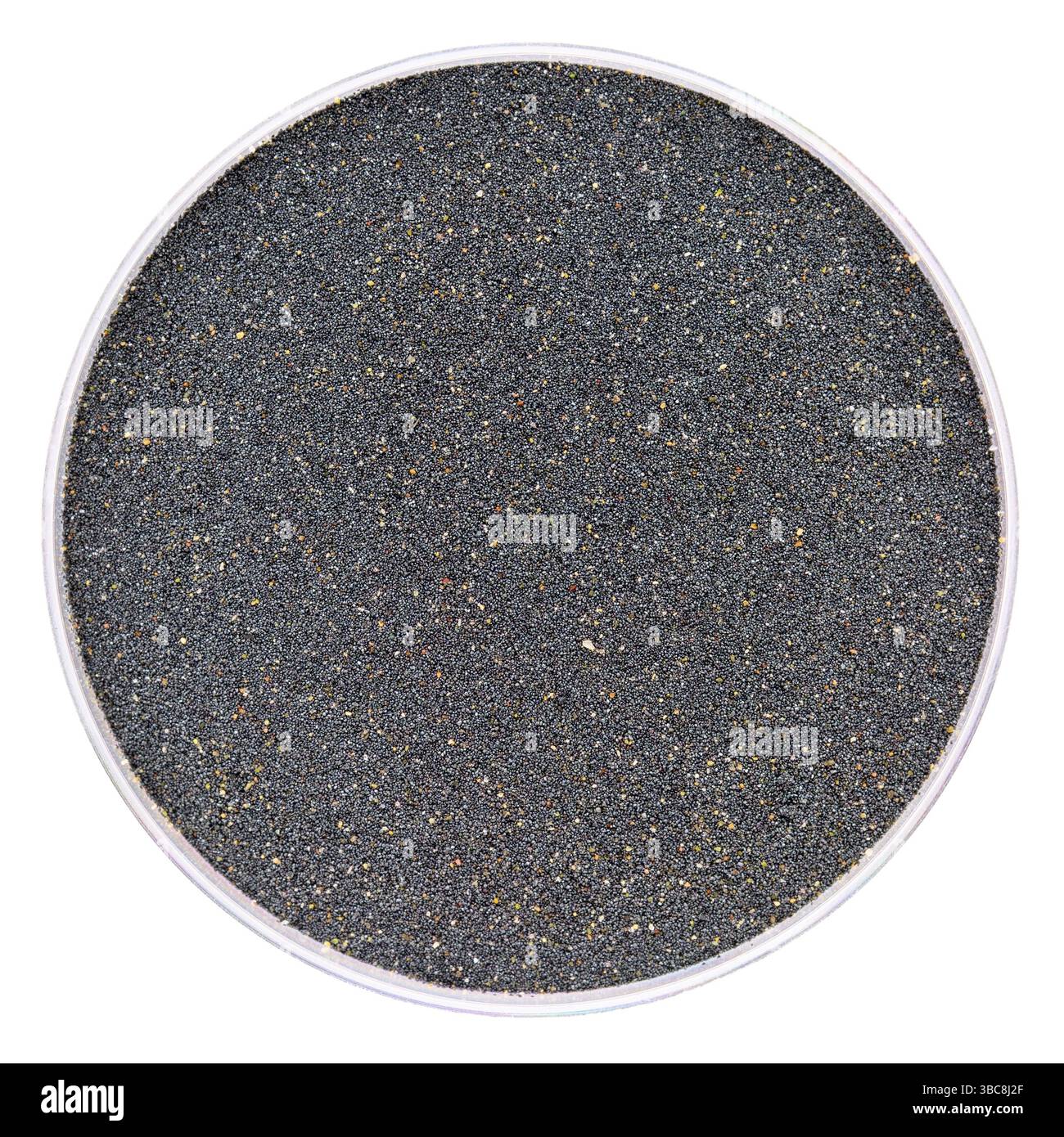 Échantillon de sable magnétique noir d'Ocean Beach, Golden Gate National Recreational Area, San Francisco, Californie - vue supérieure d'une boîte de Petri isolée Banque D'Images
